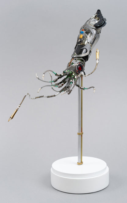 Mighty Pen Squid, 2026