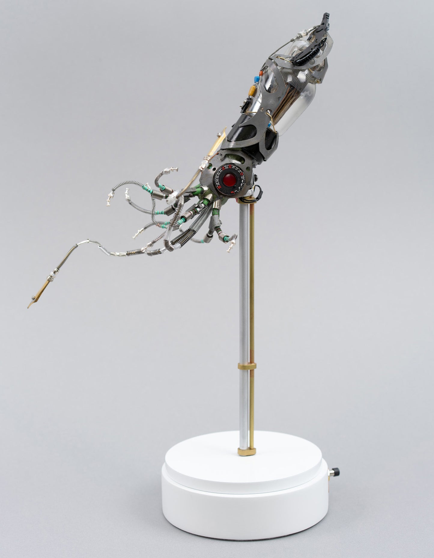 Mighty Pen Squid, 2026