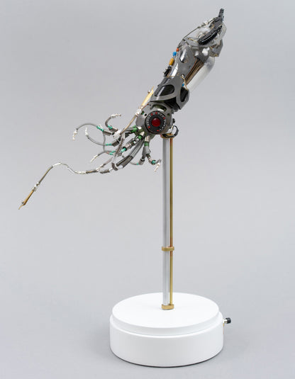Mighty Pen Squid, 2026