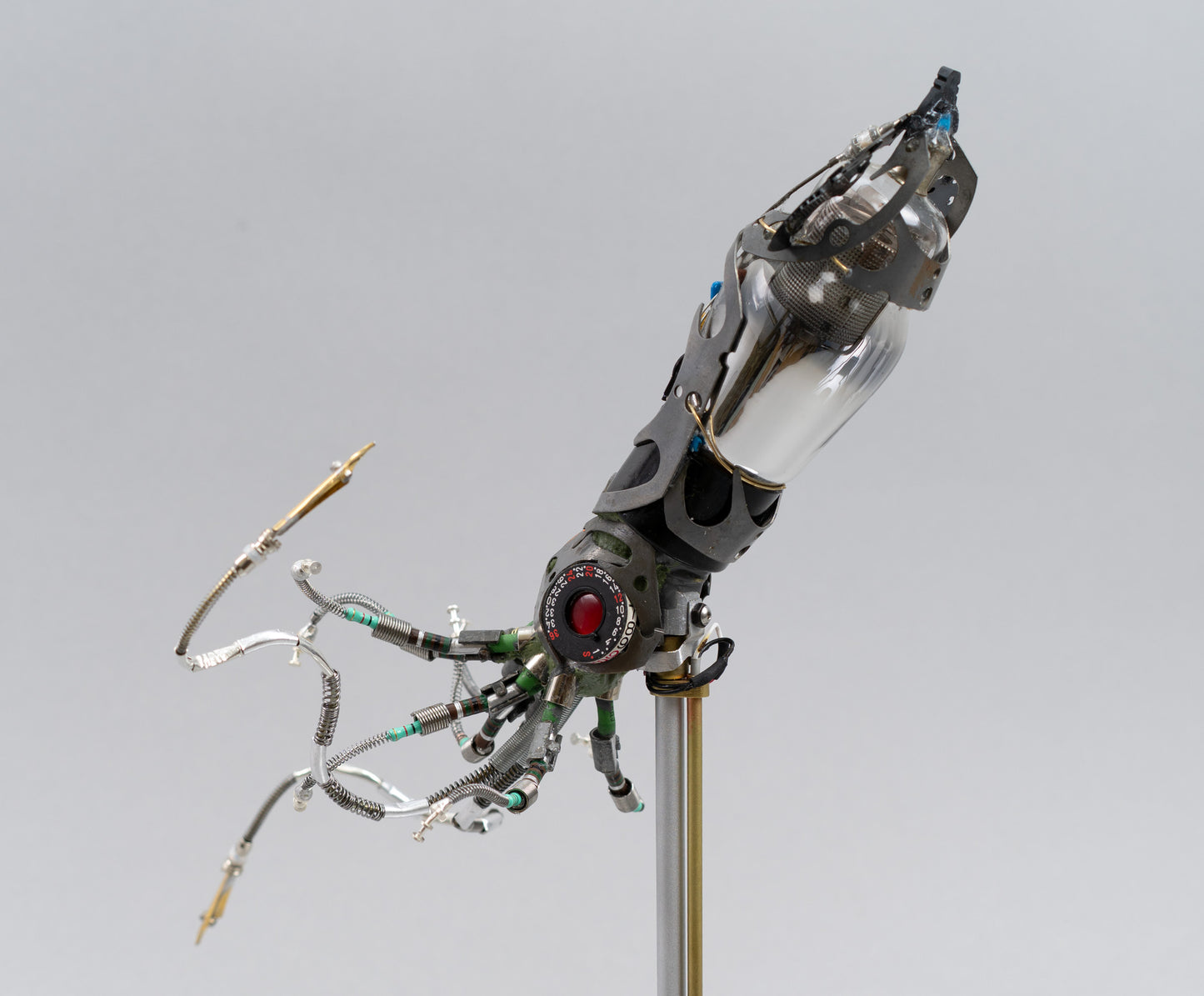 Mighty Pen Squid, 2026