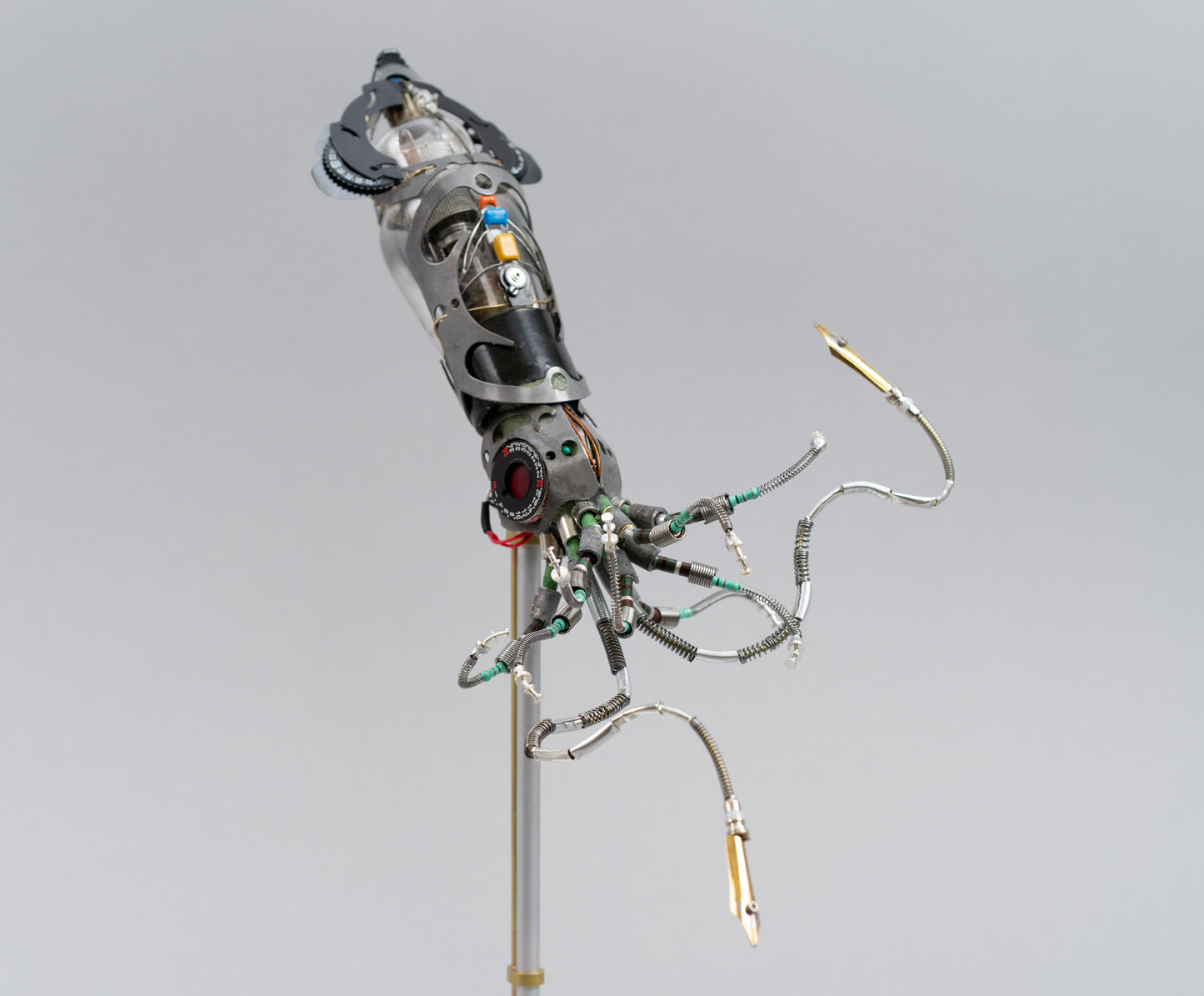 Mighty Pen Squid, 2026
