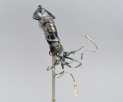 Mighty Pen Squid, 2026