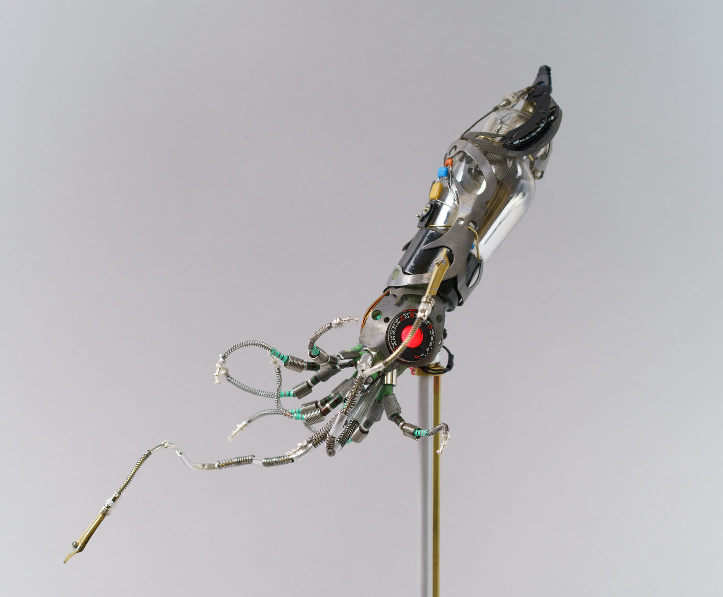 Mighty Pen Squid, 2026