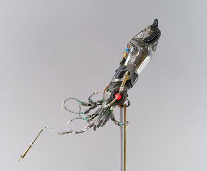 Mighty Pen Squid, 2026