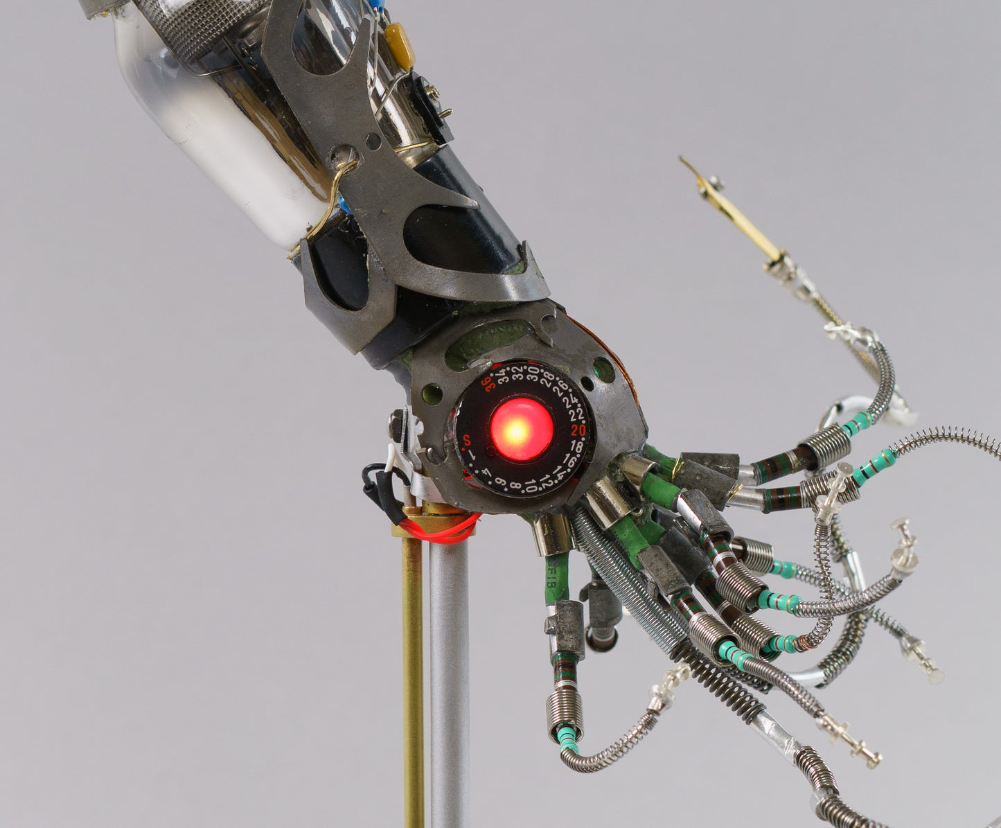 Mighty Pen Squid, 2026