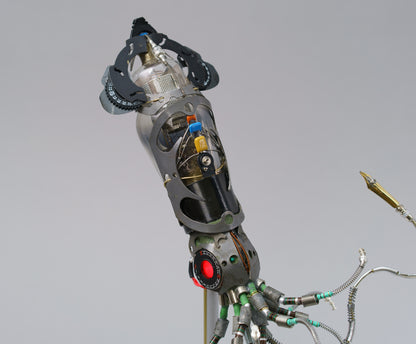 Mighty Pen Squid, 2026