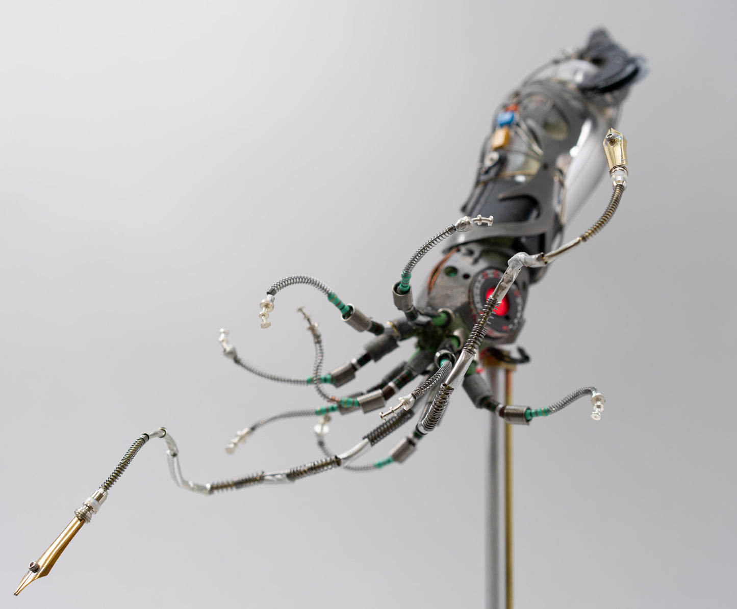 Mighty Pen Squid, 2026