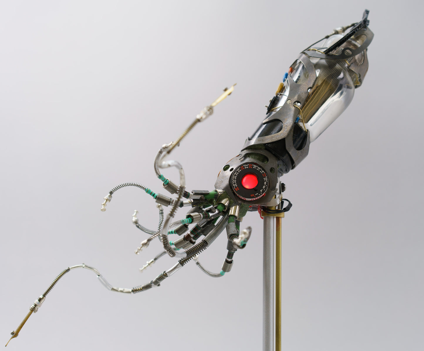 Mighty Pen Squid, 2026