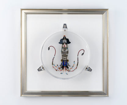 Miniature Giant Squid, 2023