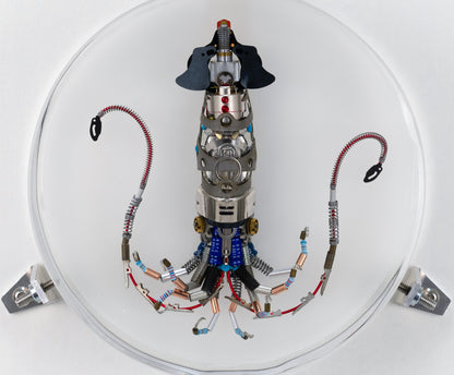 Miniature Giant Squid, 2023