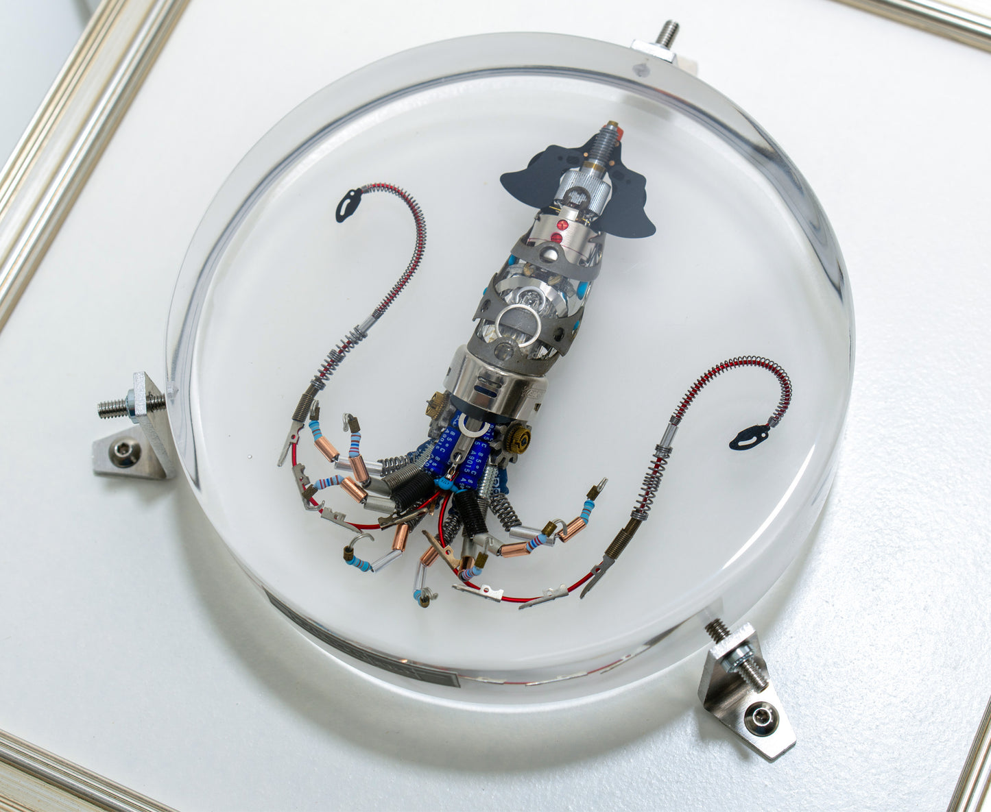Miniature Giant Squid, 2023
