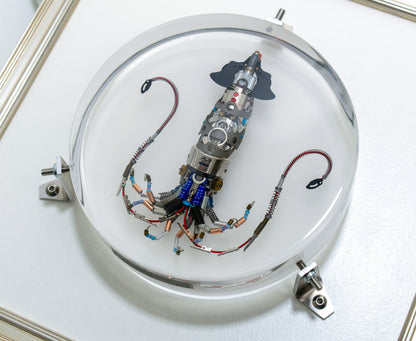 Miniature Giant Squid, 2023