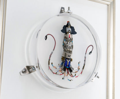 Miniature Giant Squid, 2023