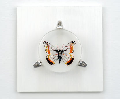 Non-Arc Butterfly, 2023