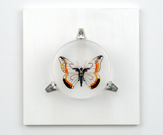 Non-Arc Butterfly, 2023