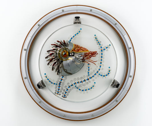 Speira Nautilus, 2023
