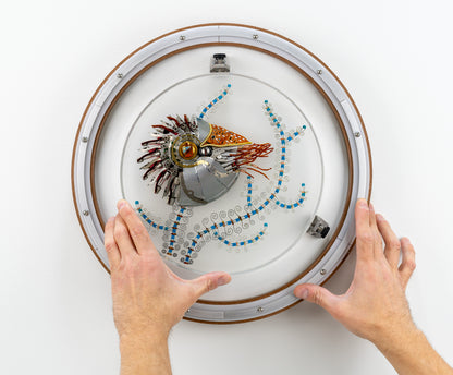 Speira Nautilus, 2023