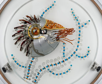 Speira Nautilus, 2023