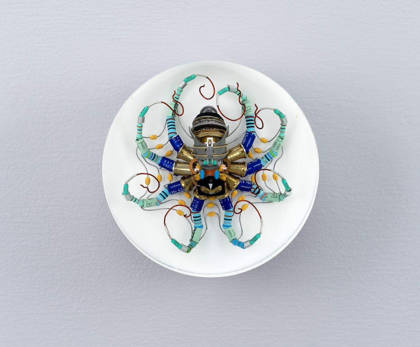 North Star Octopus, 2026