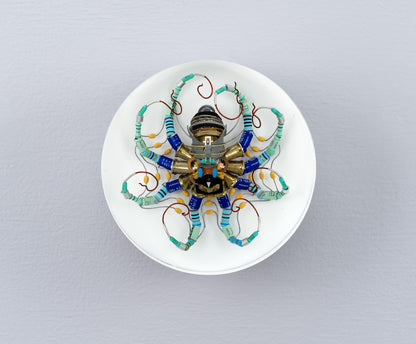 North Star Octopus, 2026