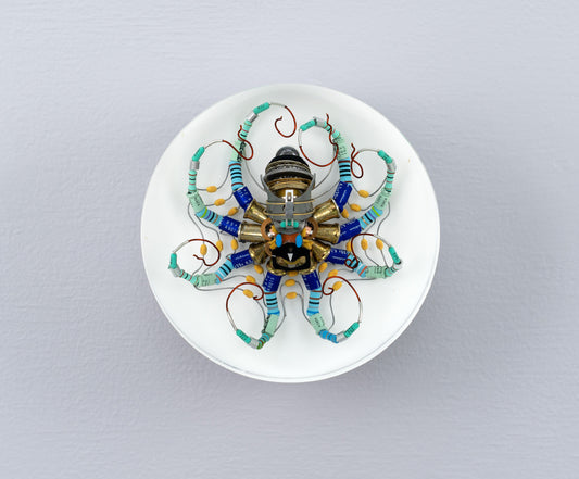North Star Octopus, 2026
