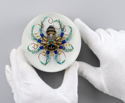 North Star Octopus, 2026