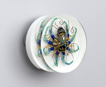 North Star Octopus, 2026