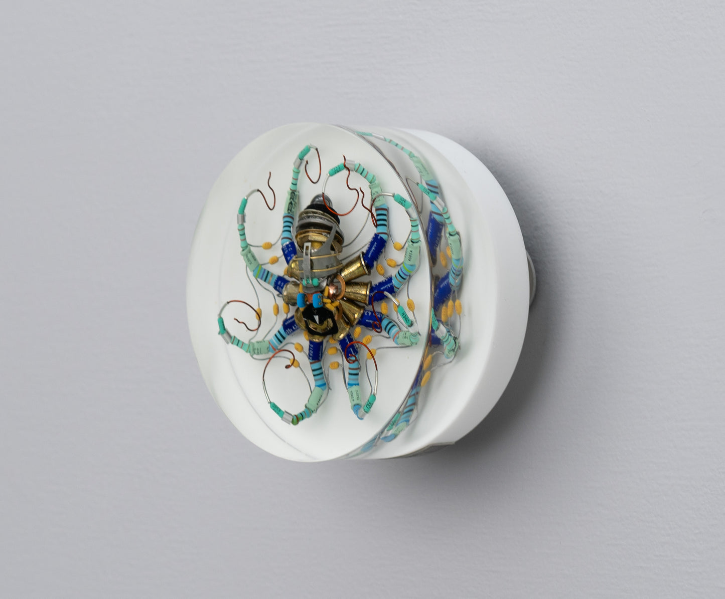 North Star Octopus, 2026