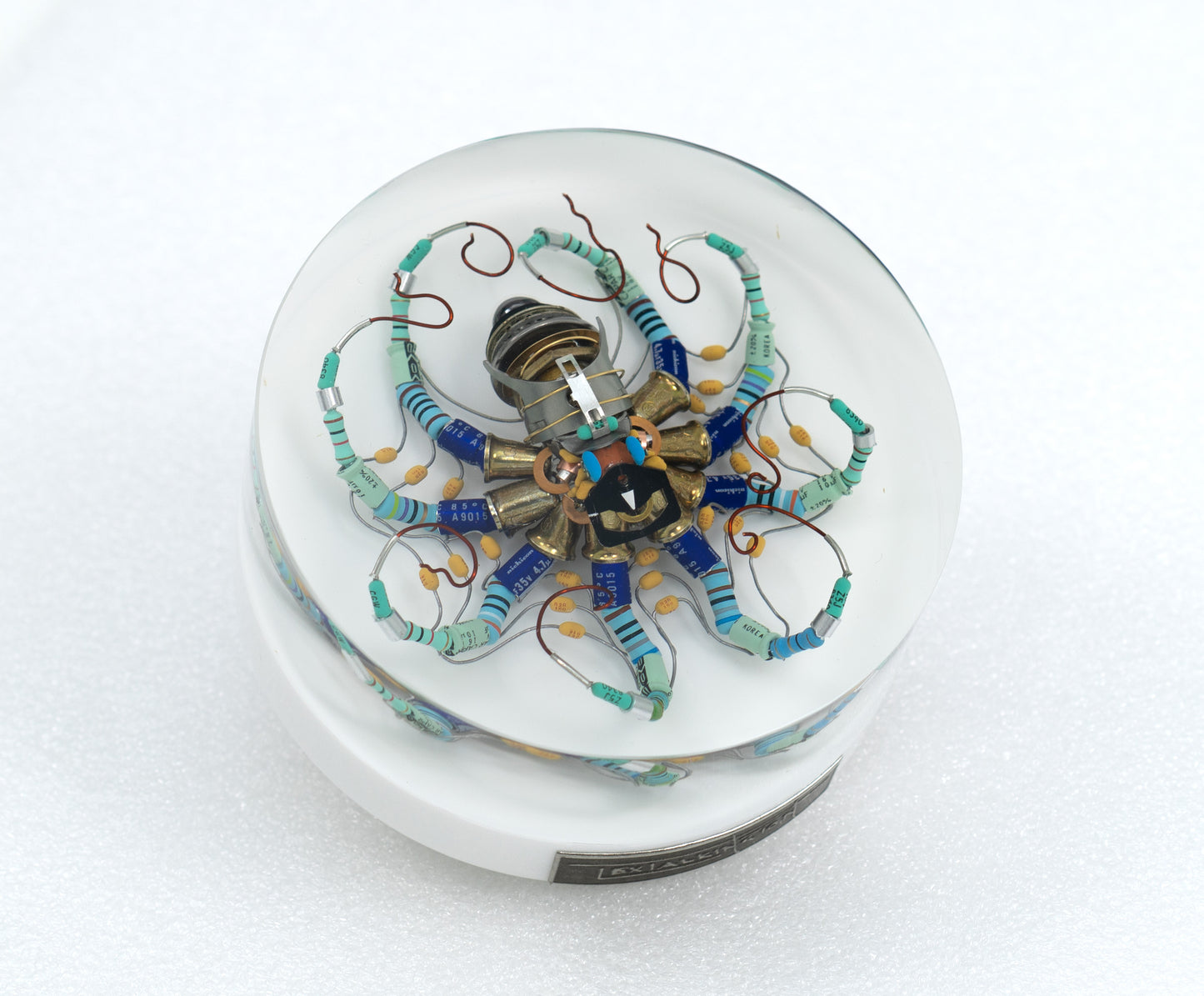 North Star Octopus, 2026