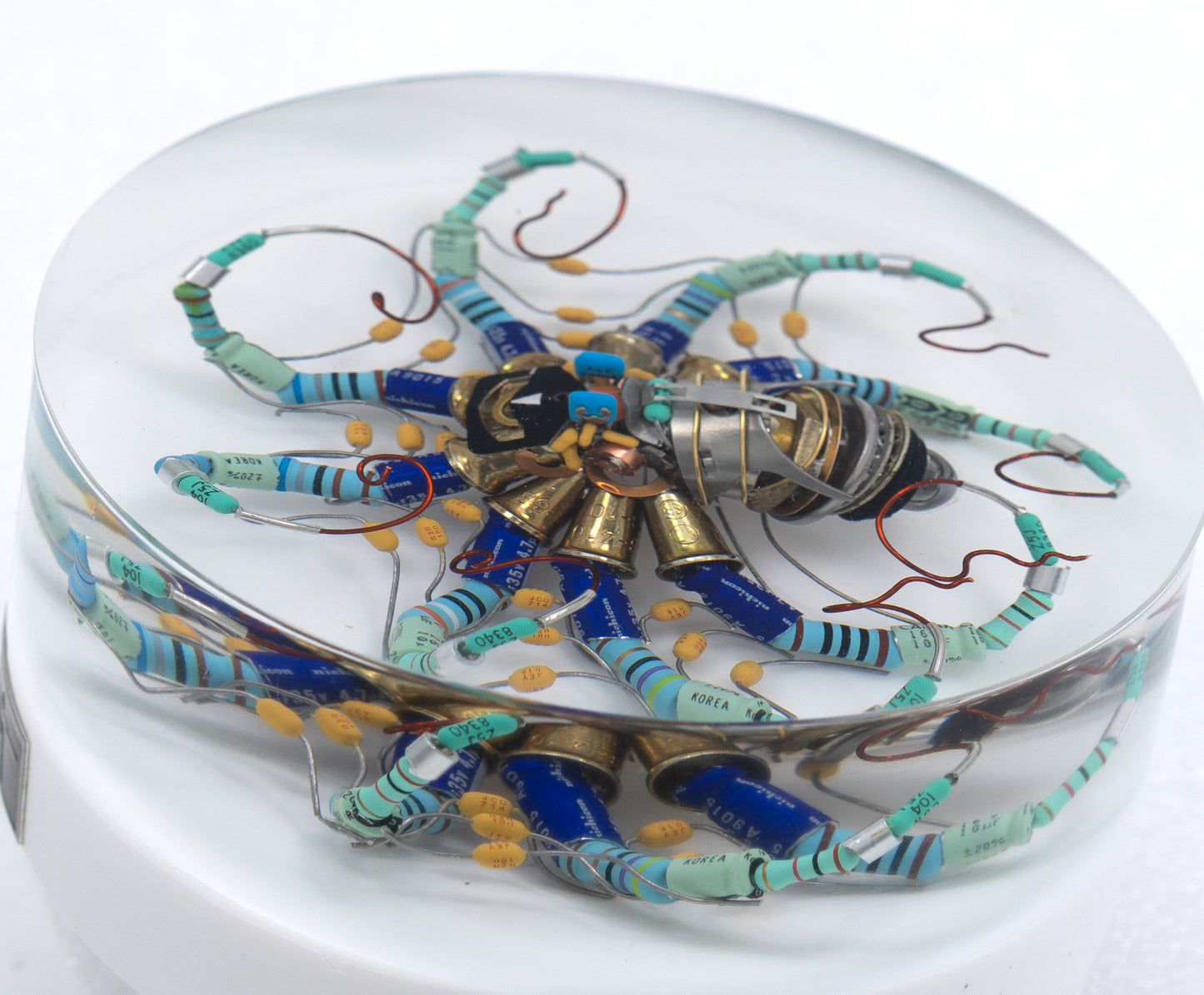 North Star Octopus, 2026