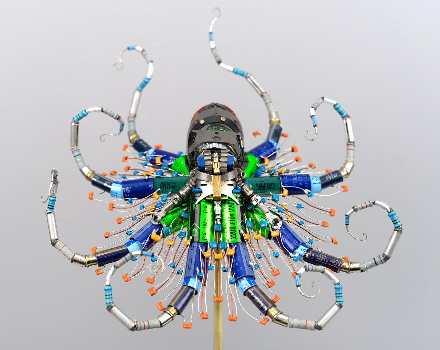Ganymede Octopus, 2026