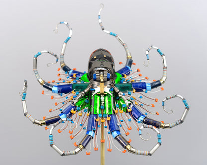 Ganymede Octopus, 2026