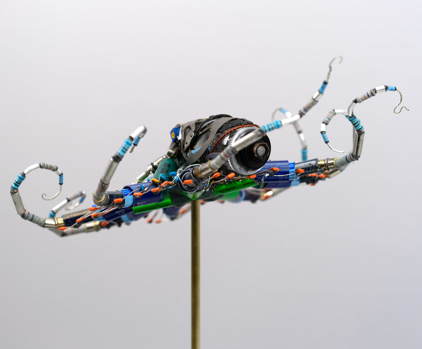 Ganymede Octopus, 2026