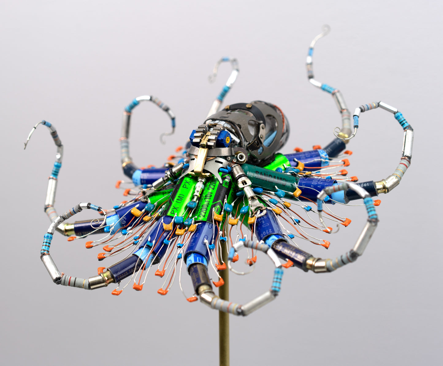 Ganymede Octopus, 2026