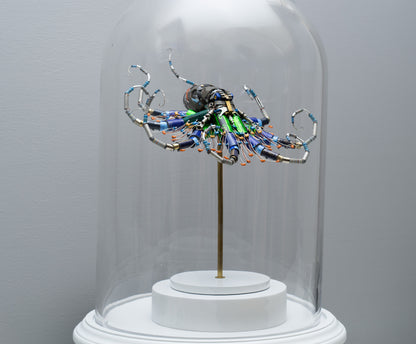 Ganymede Octopus, 2026