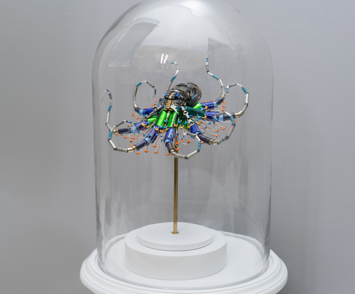 Ganymede Octopus, 2026