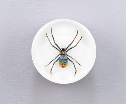 In-Orbit Orb-Weaver, 2024