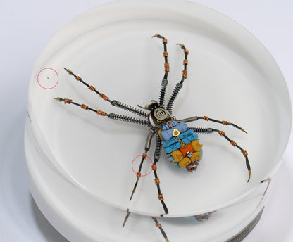 In-Orbit Orb-Weaver, 2024
