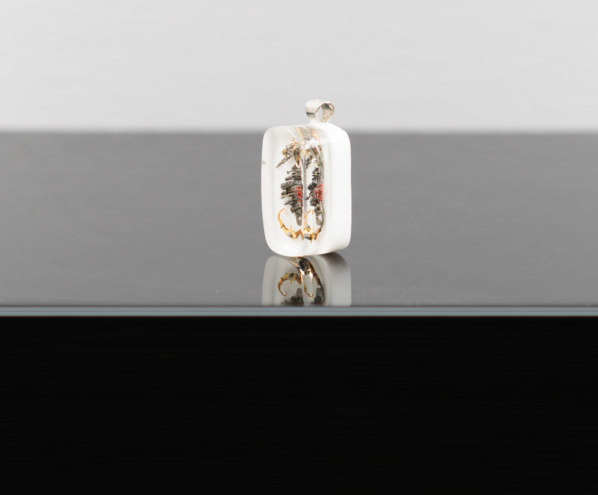 Seahorse Pendant, 2026