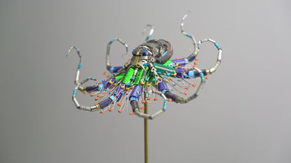 Ganymede Octopus, 2026