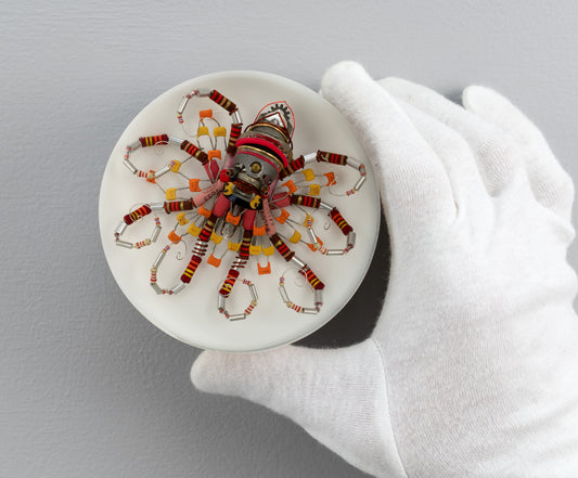 Lava Lava Octopus (Tube-Head Cephalopod), 2025