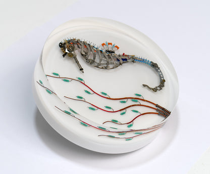 Iridium Mane Seahorse, 2024