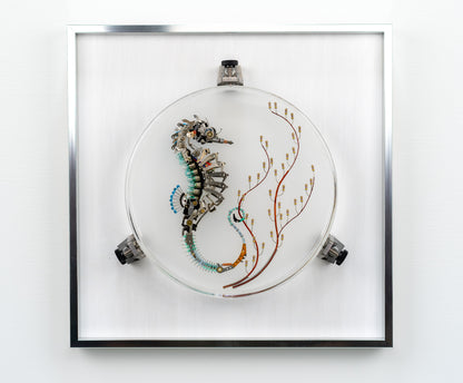 Seven 7 Jewels Seahorse, 2023