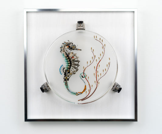Seven 7 Jewels Seahorse, 2023
