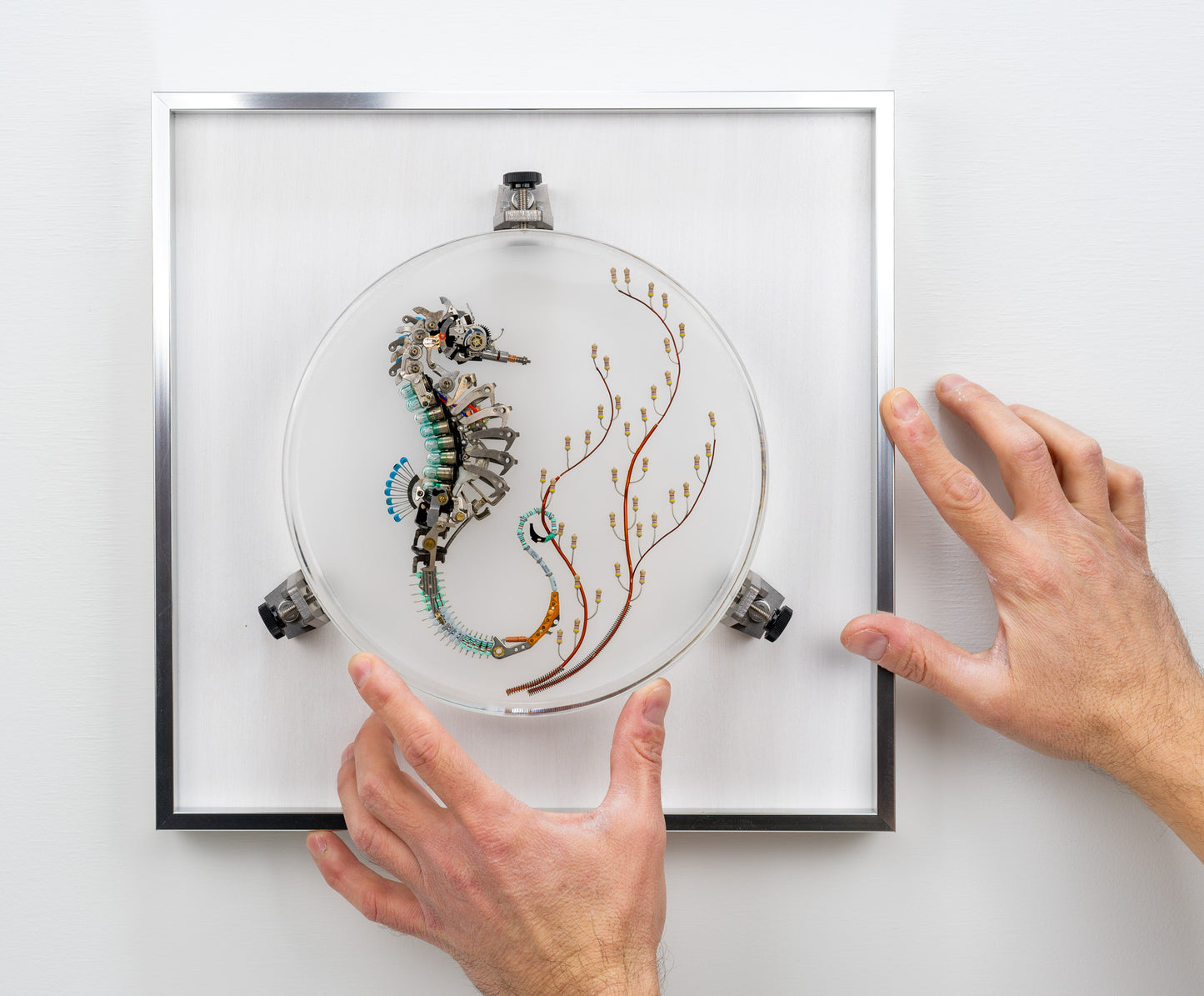 Seven 7 Jewels Seahorse, 2023