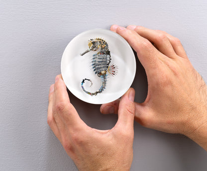 Pneumatic Nozzle Seahorse, 2024
