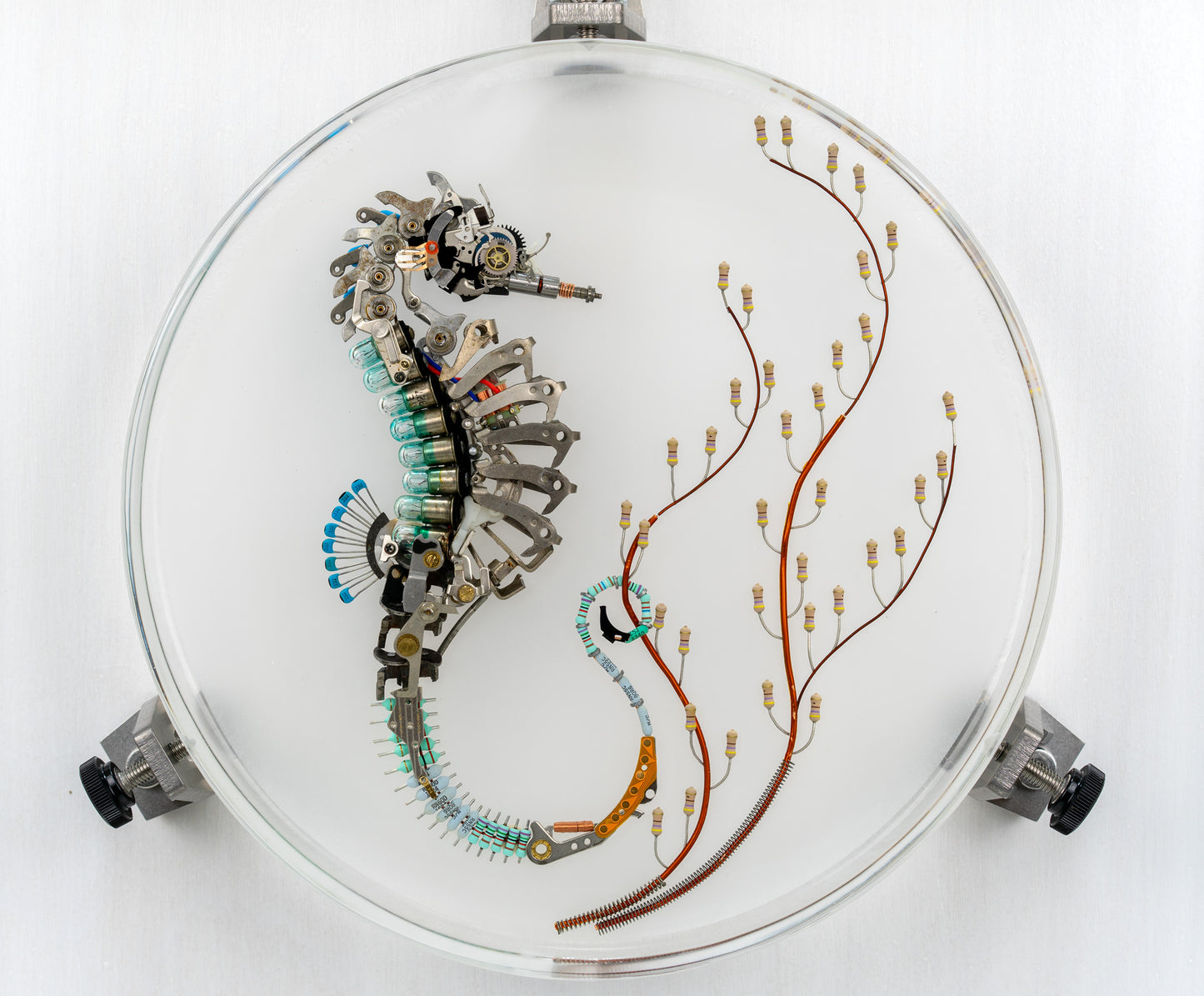 Seven 7 Jewels Seahorse, 2023