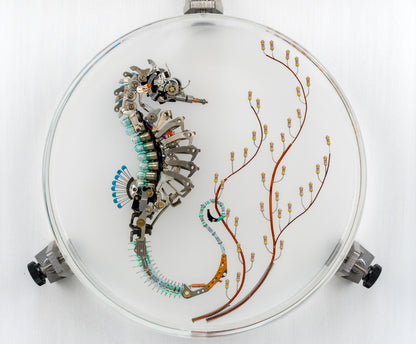 Seven 7 Jewels Seahorse, 2023