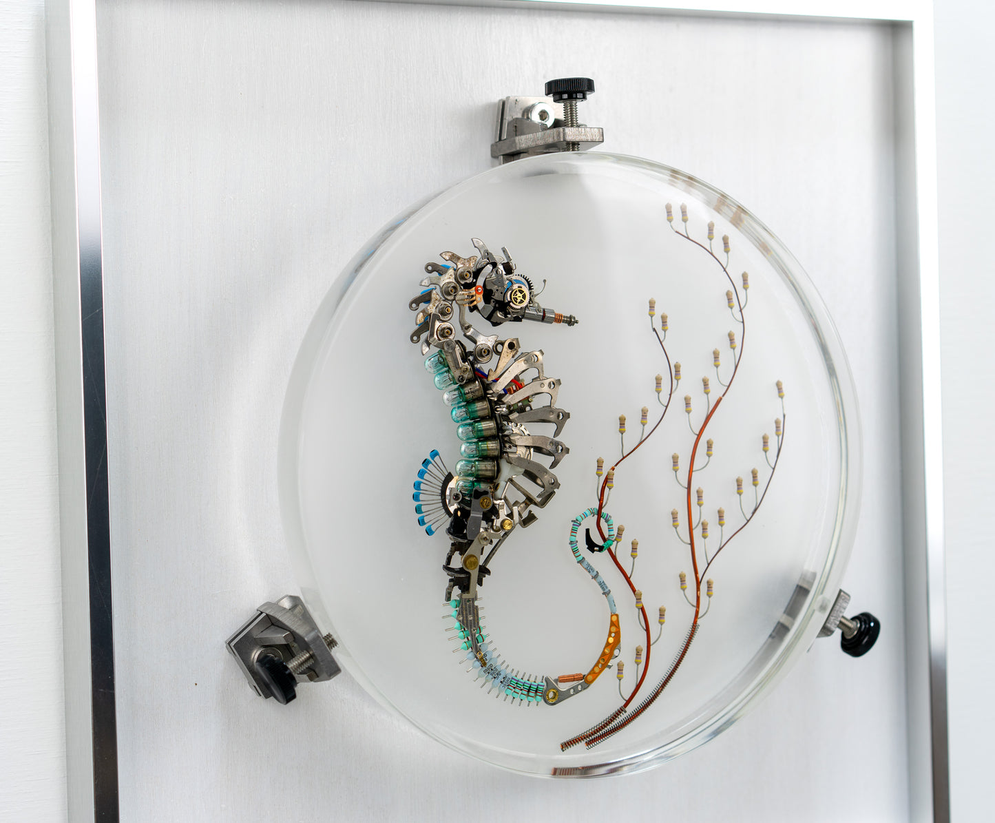 Seven 7 Jewels Seahorse, 2023