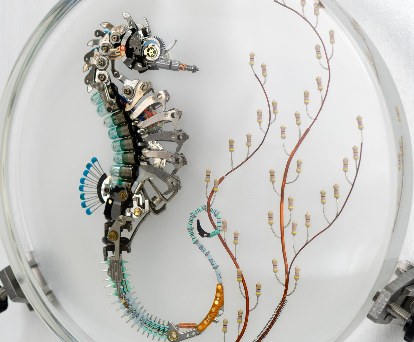Seven 7 Jewels Seahorse, 2023